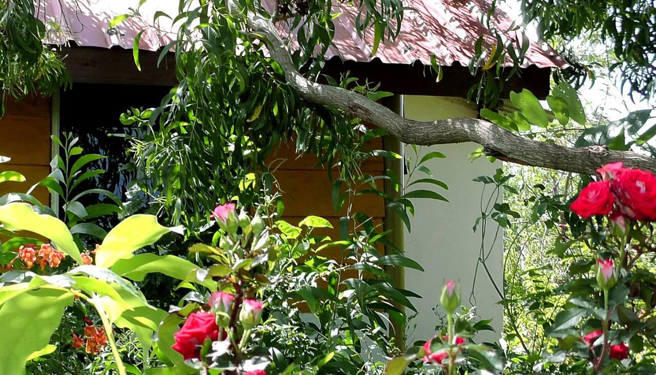 Sunntop Cabana Тринкомале Екстериор снимка